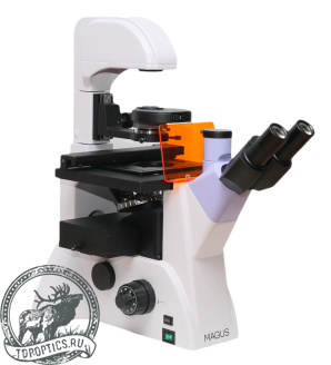Микроскоп люминесцентный инвертированный MAGUS Lum V500L #82909