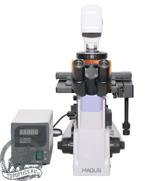 Микроскоп люминесцентный инвертированный MAGUS Lum V500 #82908
