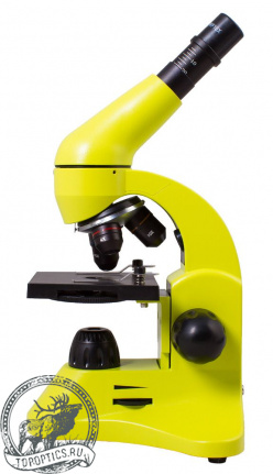 Микроскоп Levenhuk Rainbow 50L Lime\Лайм #69049