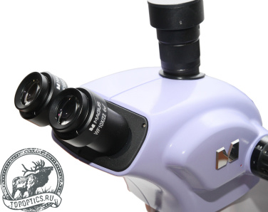 Микроскоп стереоскопический MAGUS Stereo 9T #82910