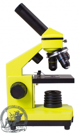 Микроскоп Levenhuk Rainbow 2L PLUS Lime\Лайм #69044